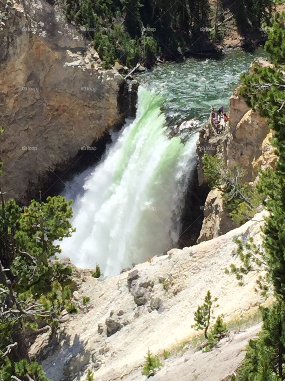 Yellowstone Waterfall