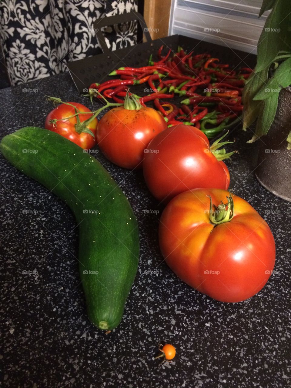 Veggies from our garden 