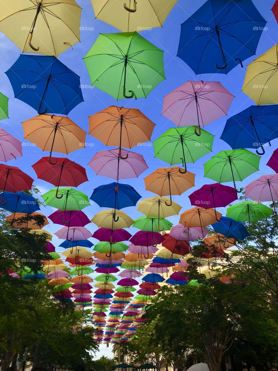 Umbrella sky, Coral Gables 