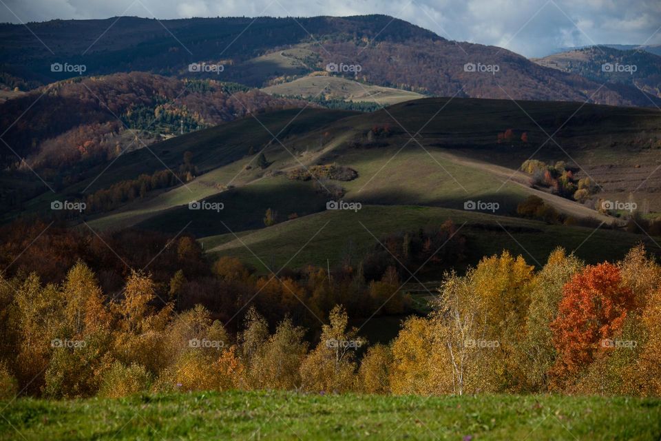 Autumn landscape 