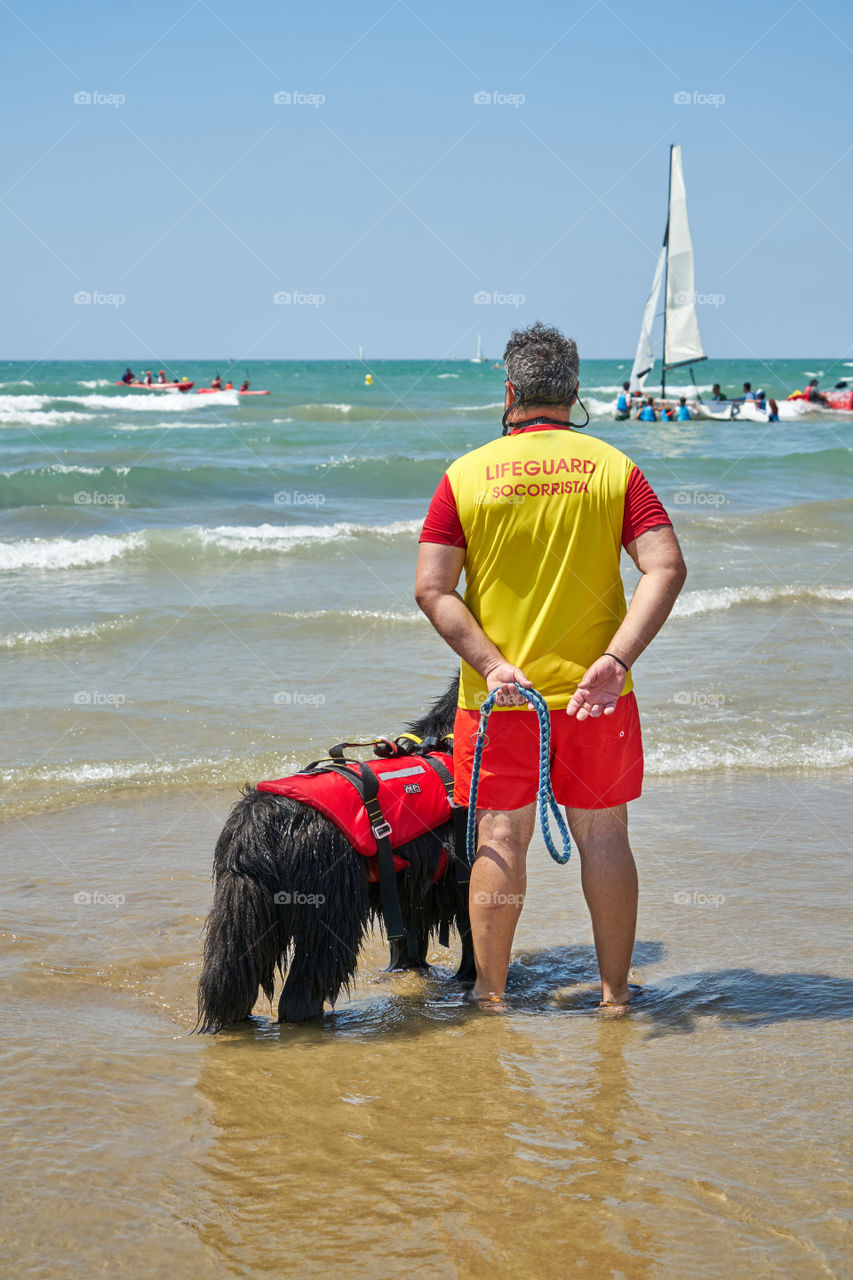 Lifeguard Dog