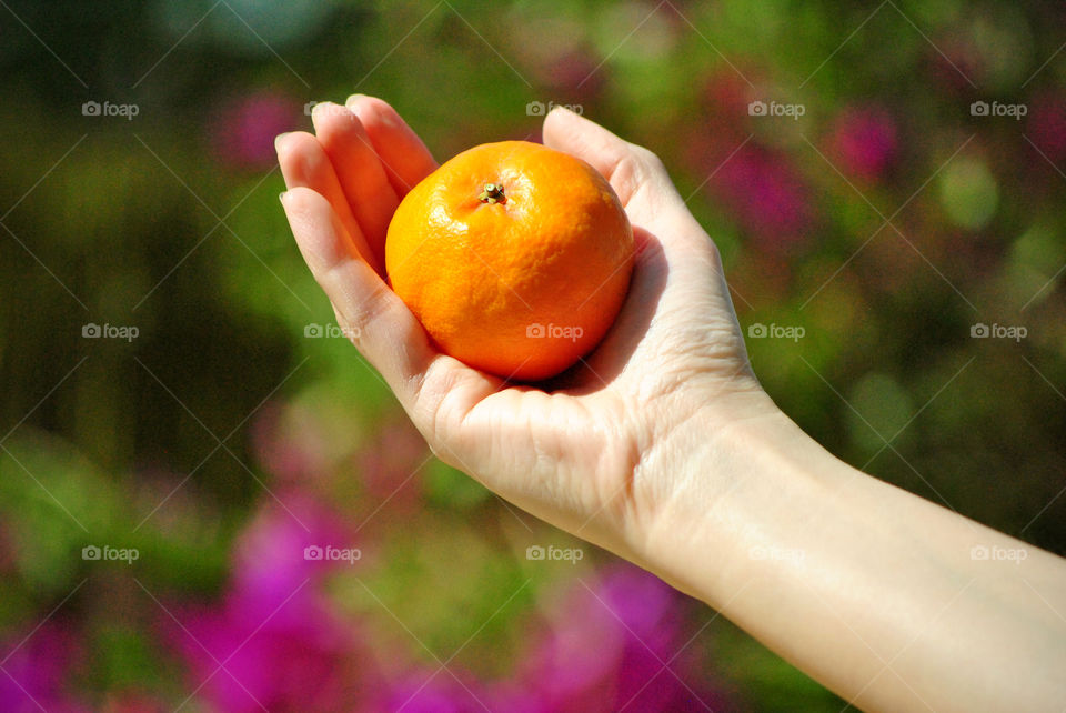 Holding an orange in hand