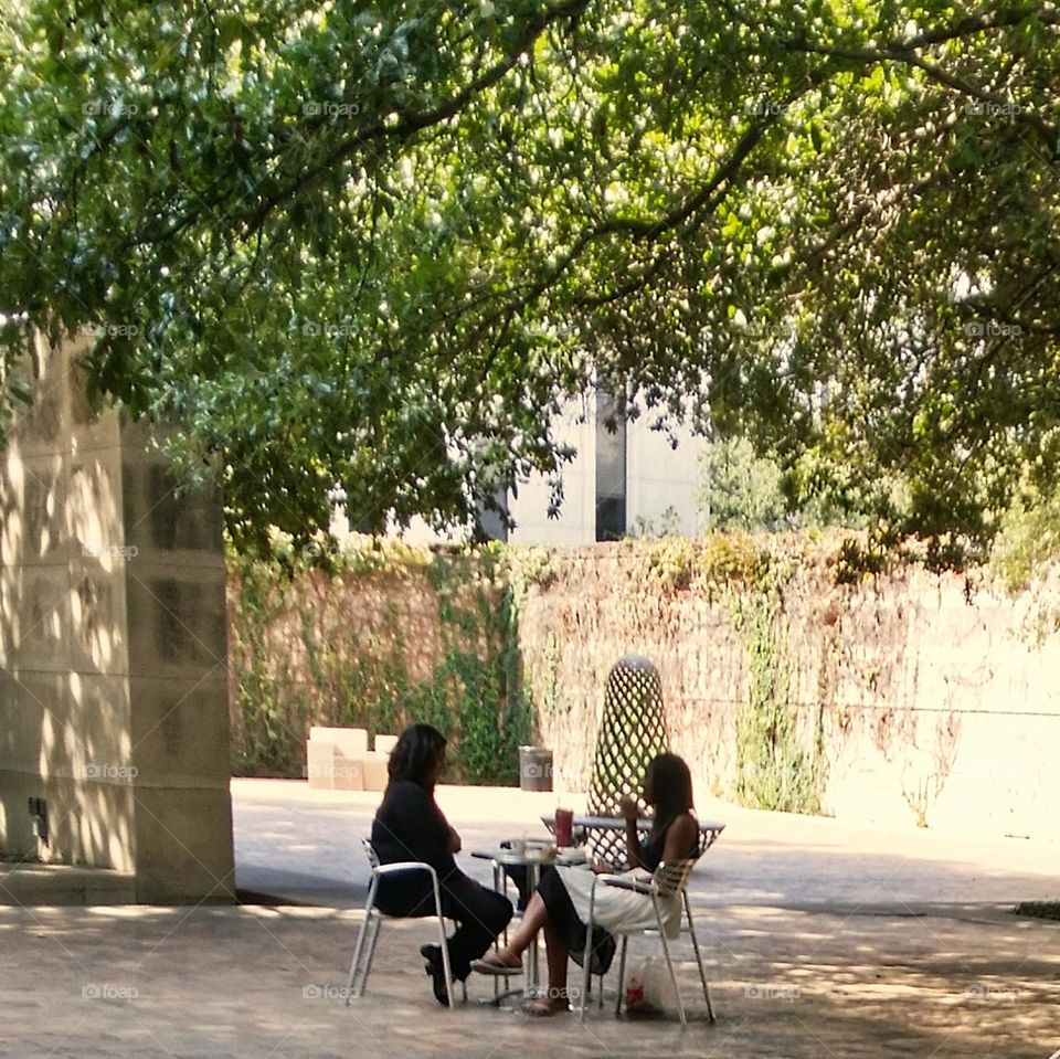 Two Women Enjoying lunch in the Natural Surroundings of a City Park in Dallas Texas