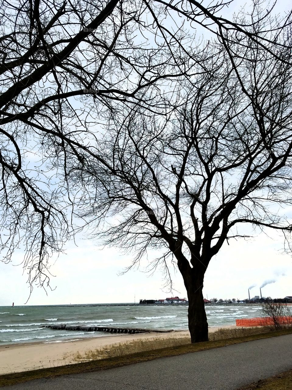 Scenic view of sea and palm trees