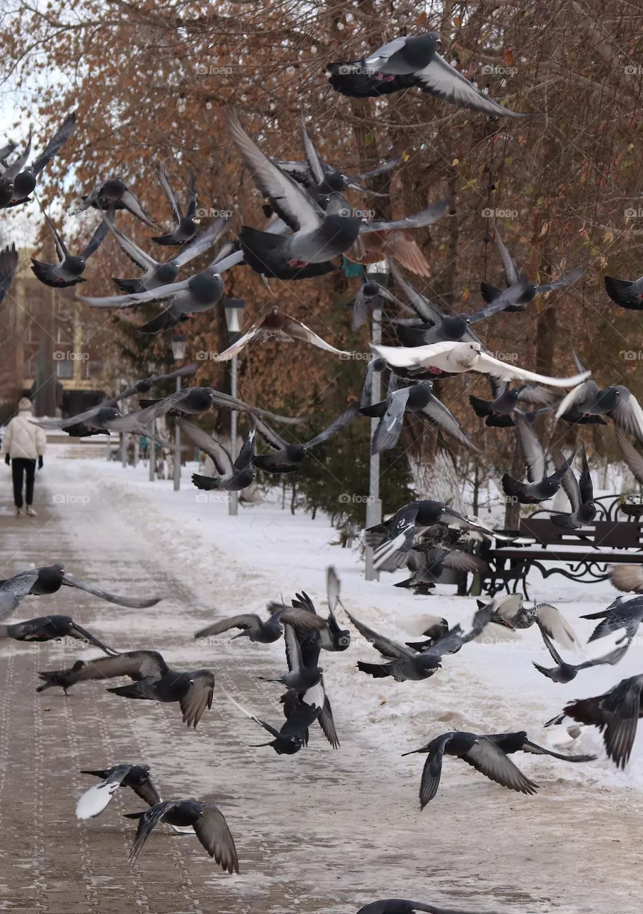 в парке