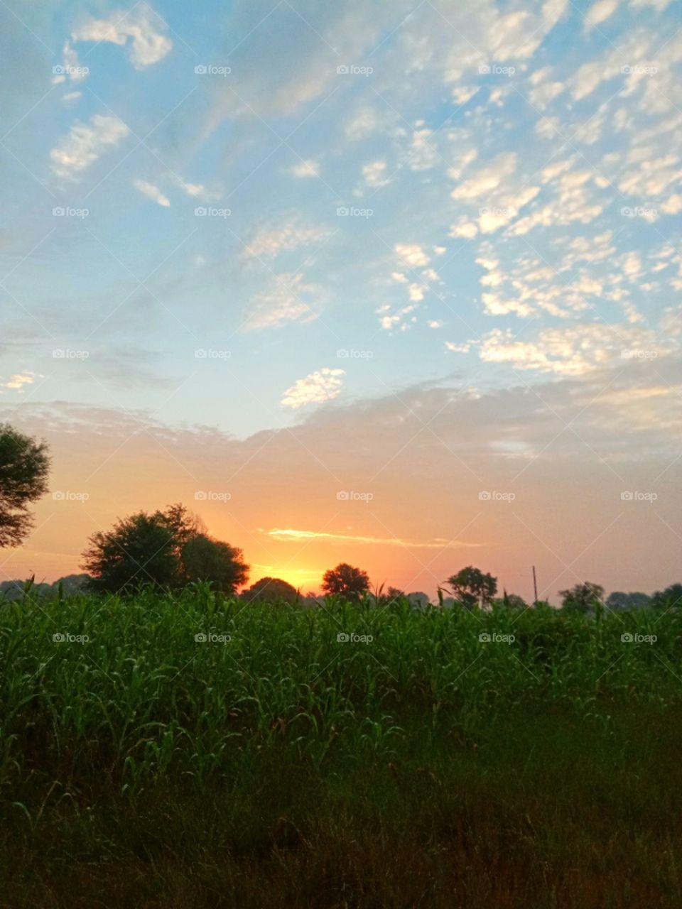 Raining weather make people smile