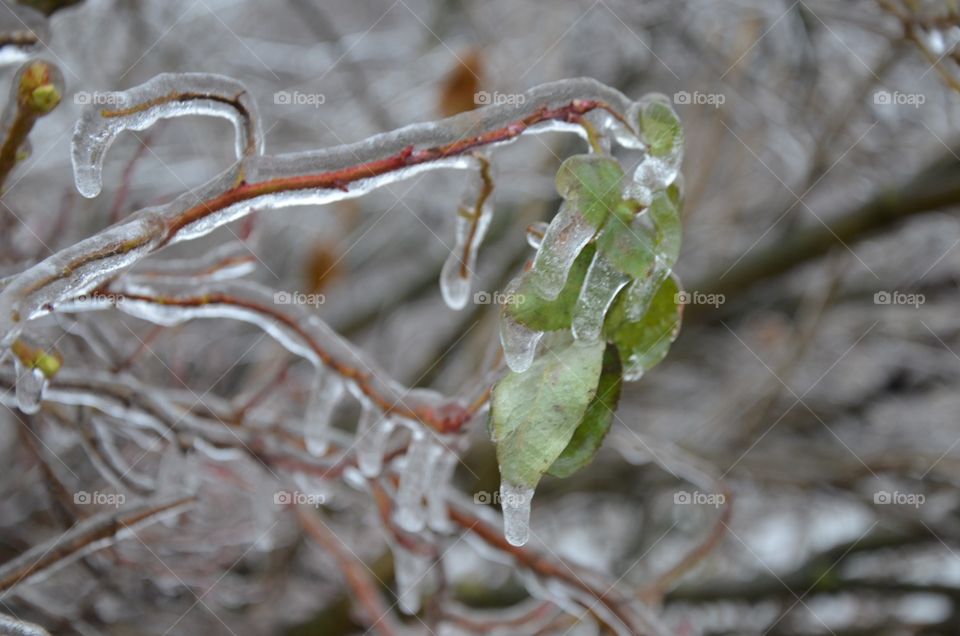 ice rain