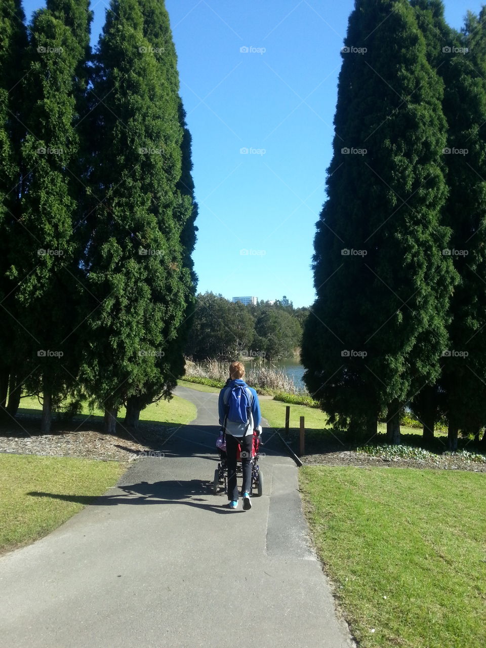 Walking through trees