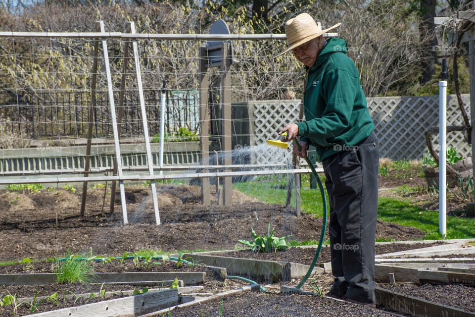 the Gardner. Gardner waters the freshly sowed seeds and plants