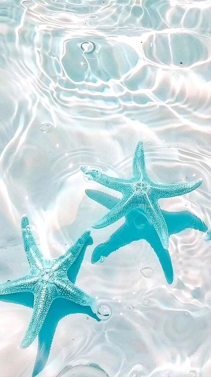 A very beautiful picture, and there is no better picture than it. There is no better picture of green herbs and colorful, red and white roses than it. Glory be to God, the natural and picturesque view, and there is no more wonderful picture than it.