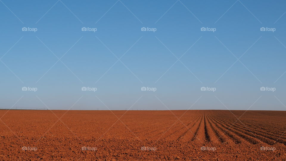 Minimalistic crop field. Landscape nature crop field