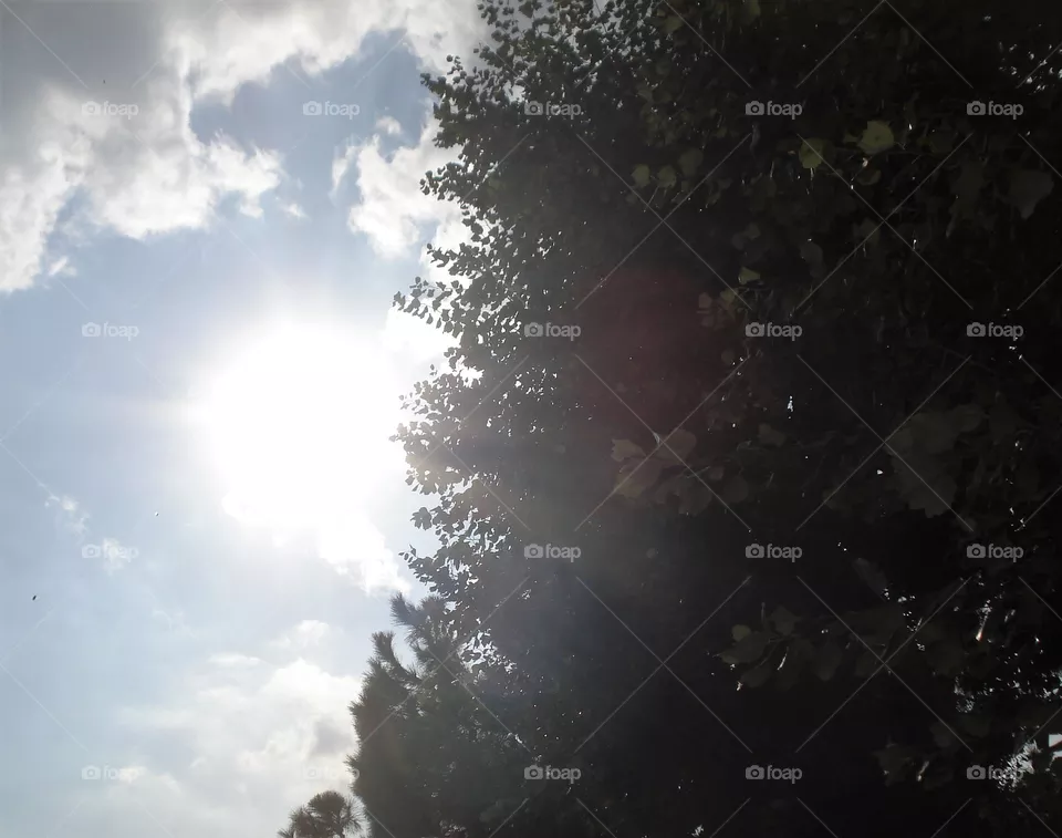 sun