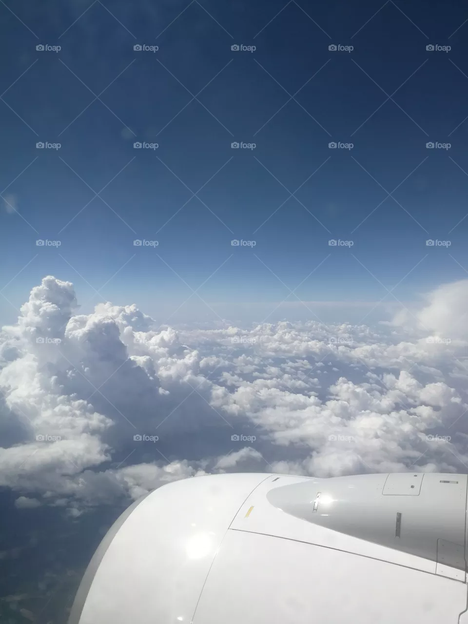 Fly
