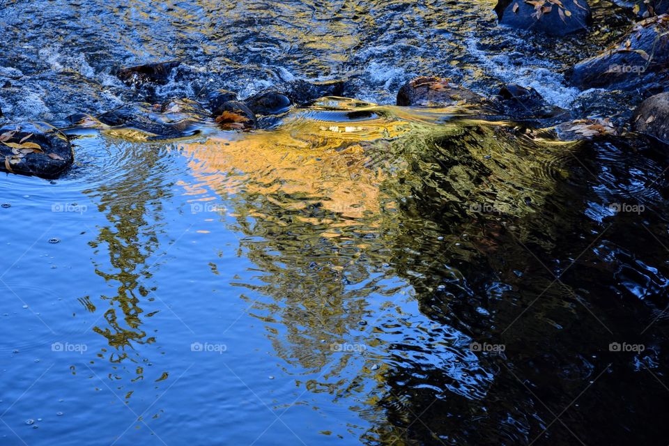 Reflection Before a Fall of Water