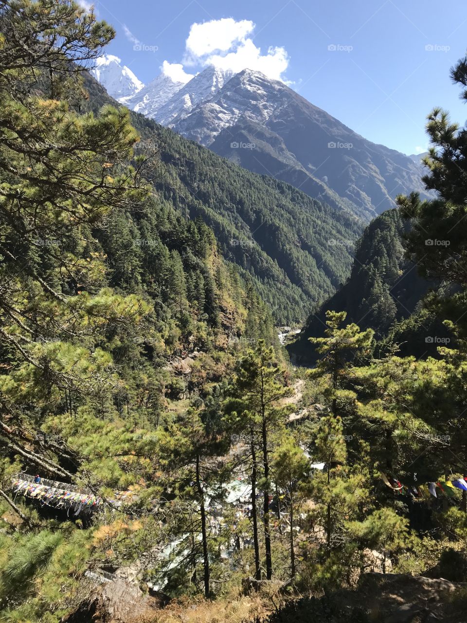 Hiking in the Himalayas 