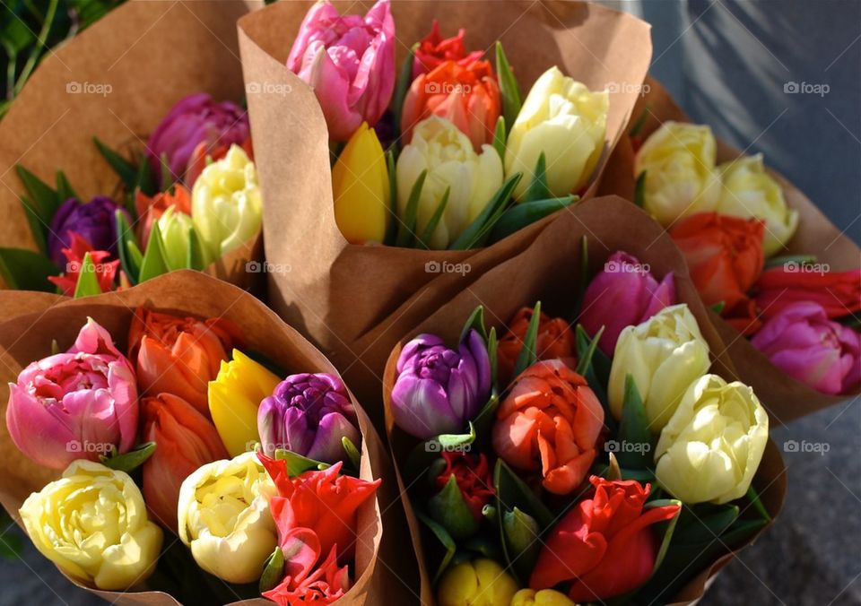 Tulips