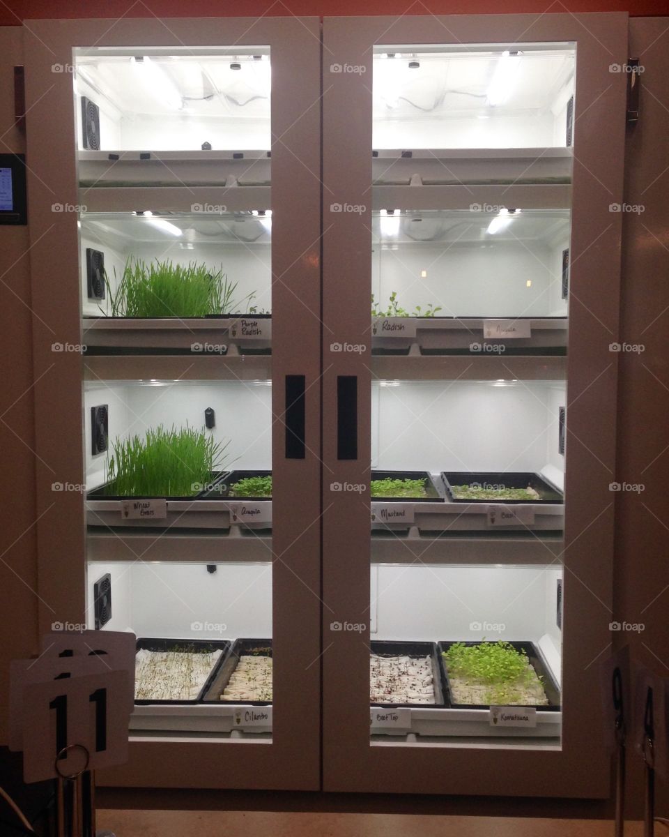 Urban cultivator with herbs. Keeping it natural. . Cultivator to grow herbs year round! 