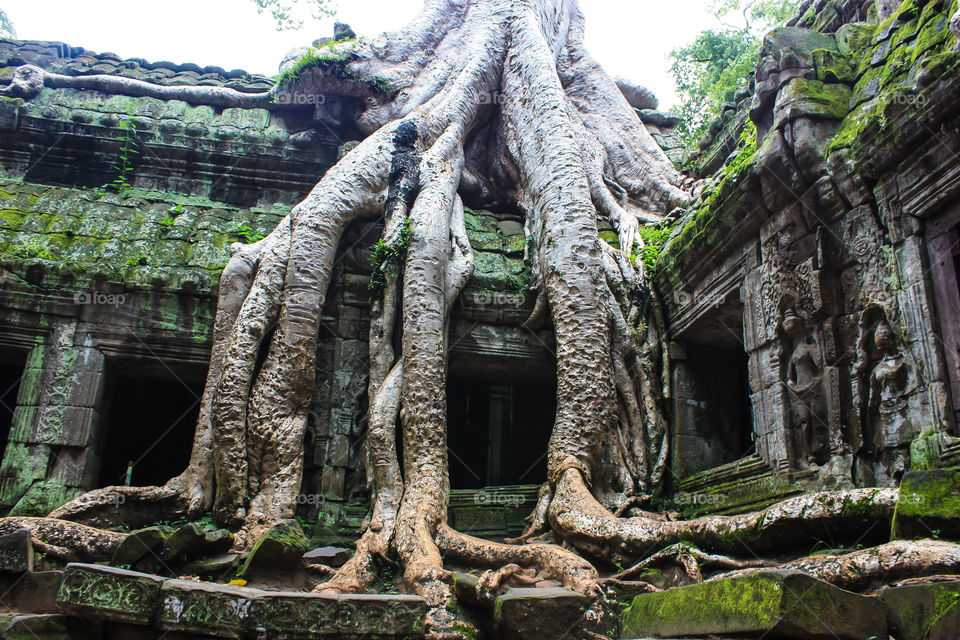 Angkor Wat