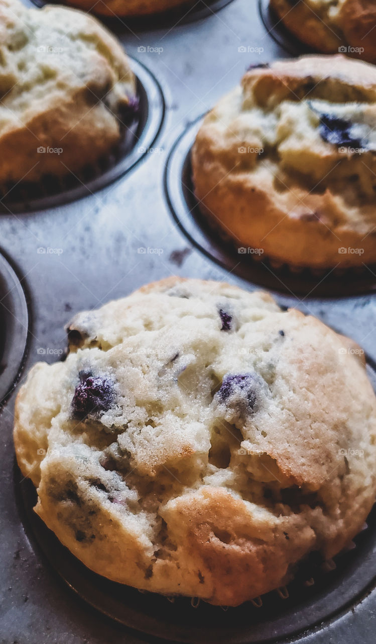 Hot out of the oven. Delicious homemade blueberry muffins.