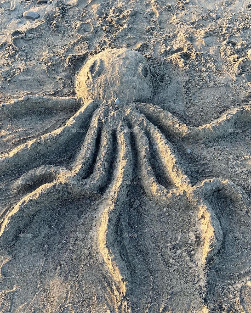 Sand octopus on the beach