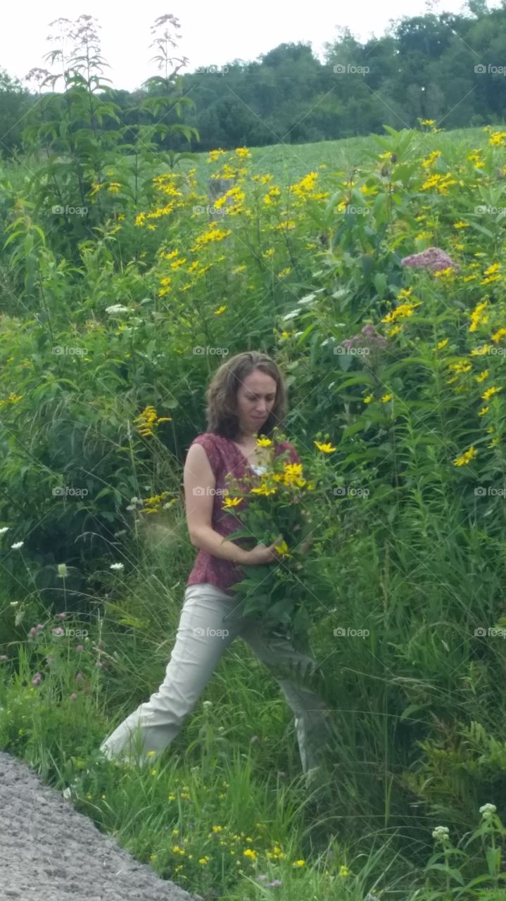 Nature, Summer, Flower, Outdoors, Grass