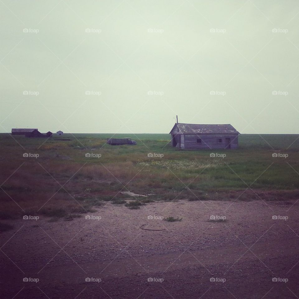 still life in the prairies