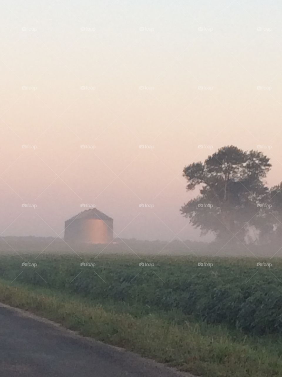 Grain silos in the foggy morning 