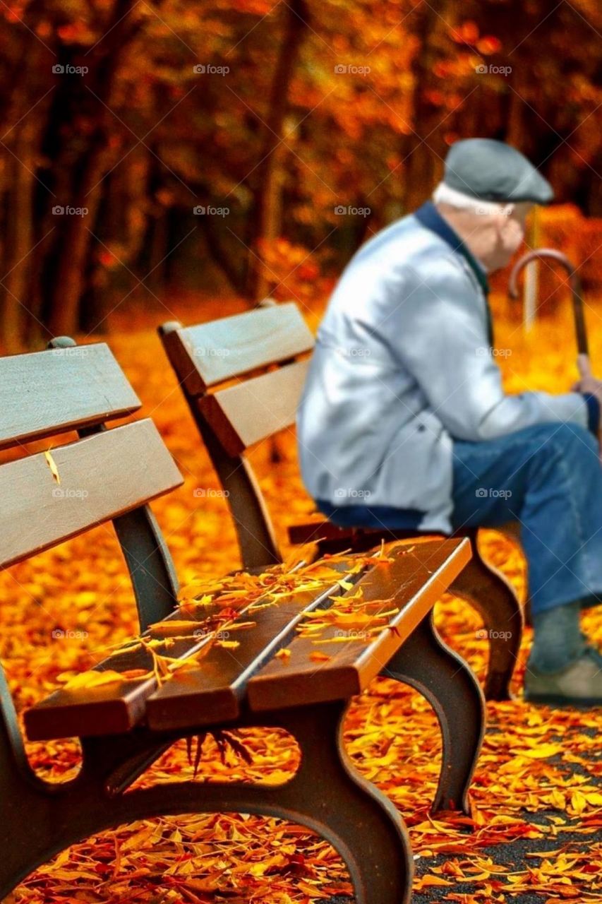 Old man sitting on the bench in the square with fallen autumn season leaves