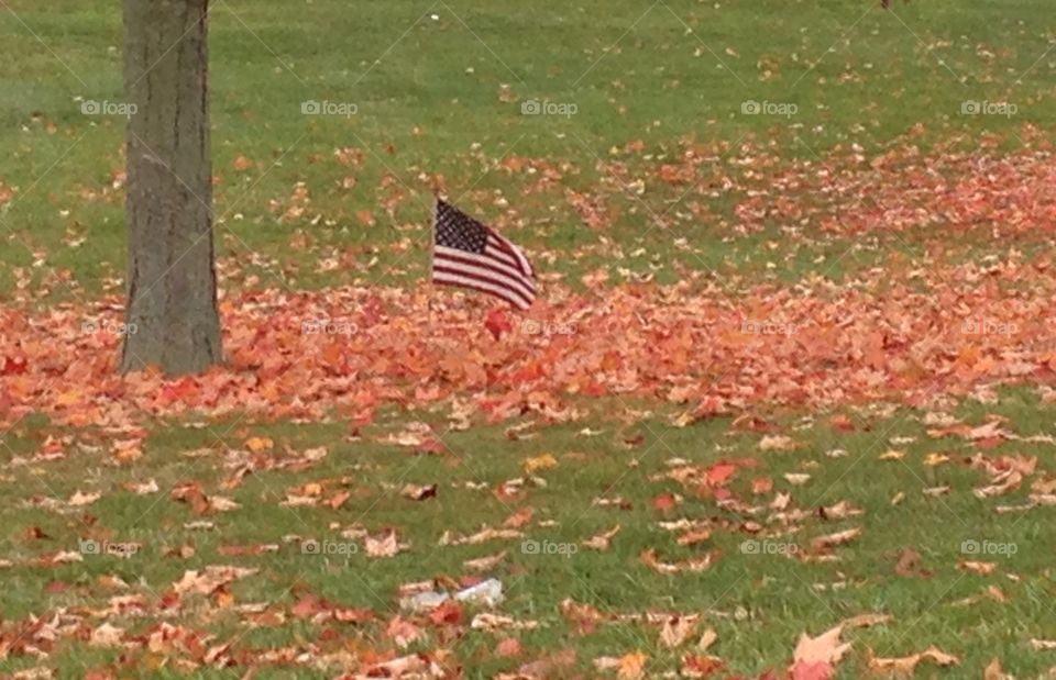 Fall flag