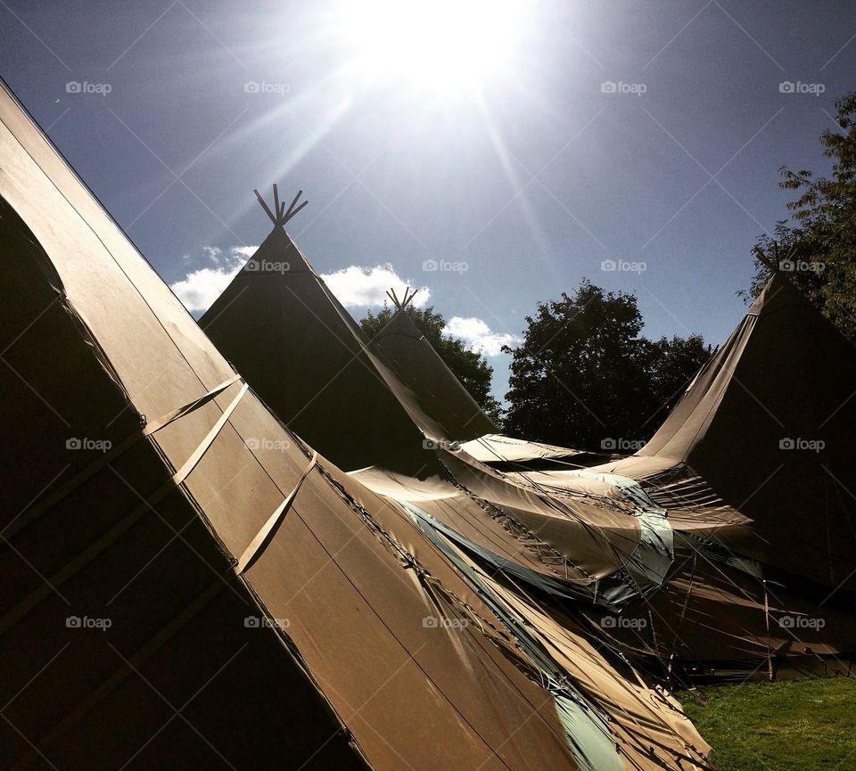 Sunshine on the canvas