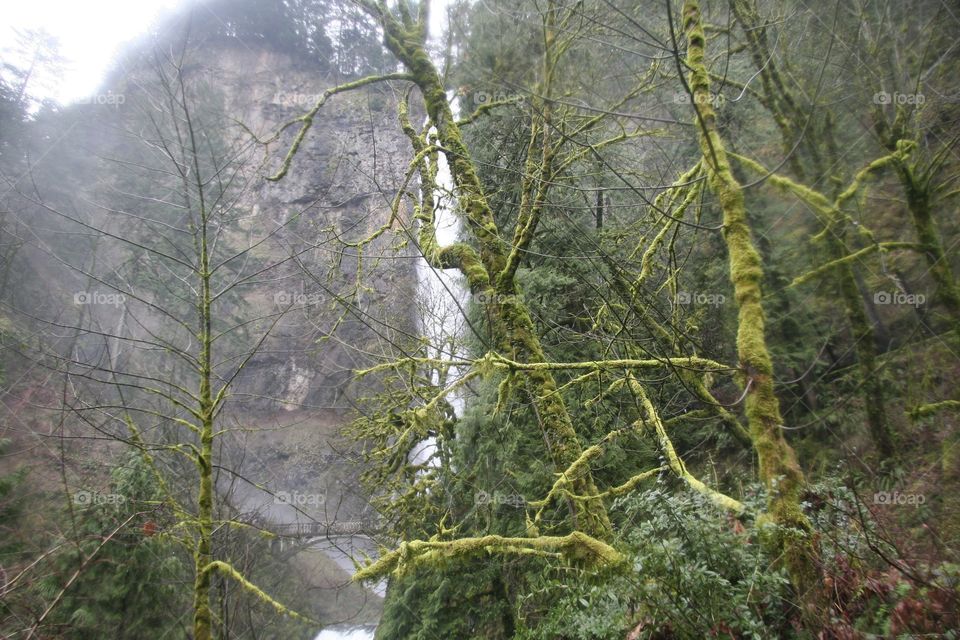 Hiking around the waterfalls 