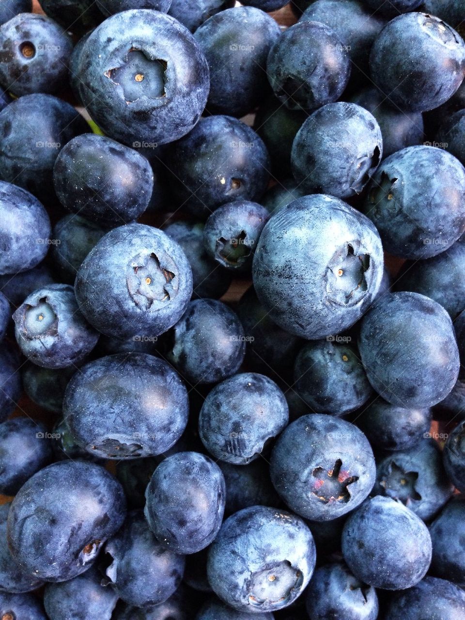 Full frame shot of blueberries