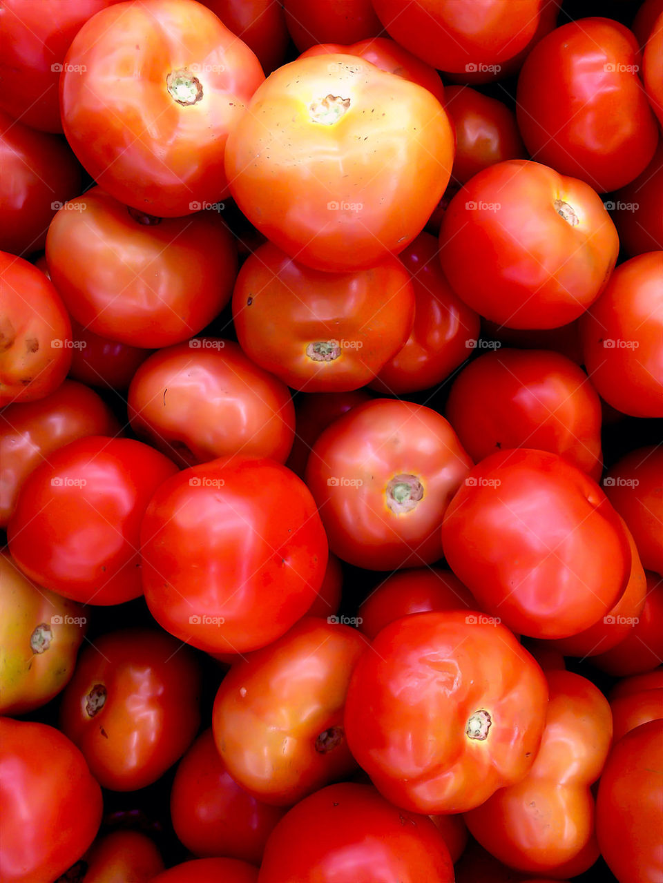 Tomatoes in a basket