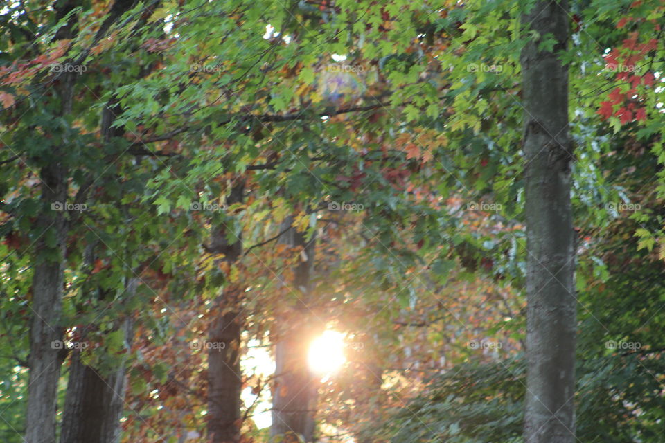 Sunrise in Charlotte