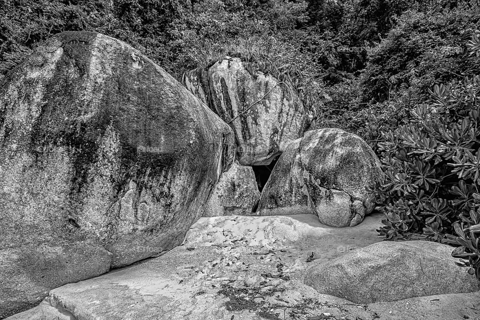 Boulder rock in forest