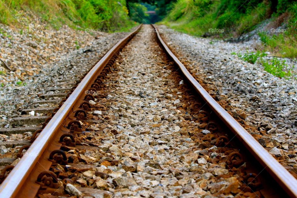 Empty railroad in forest