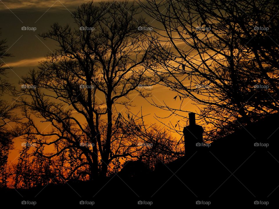 Sunset. silhouette  of trees and house with a setting  sun