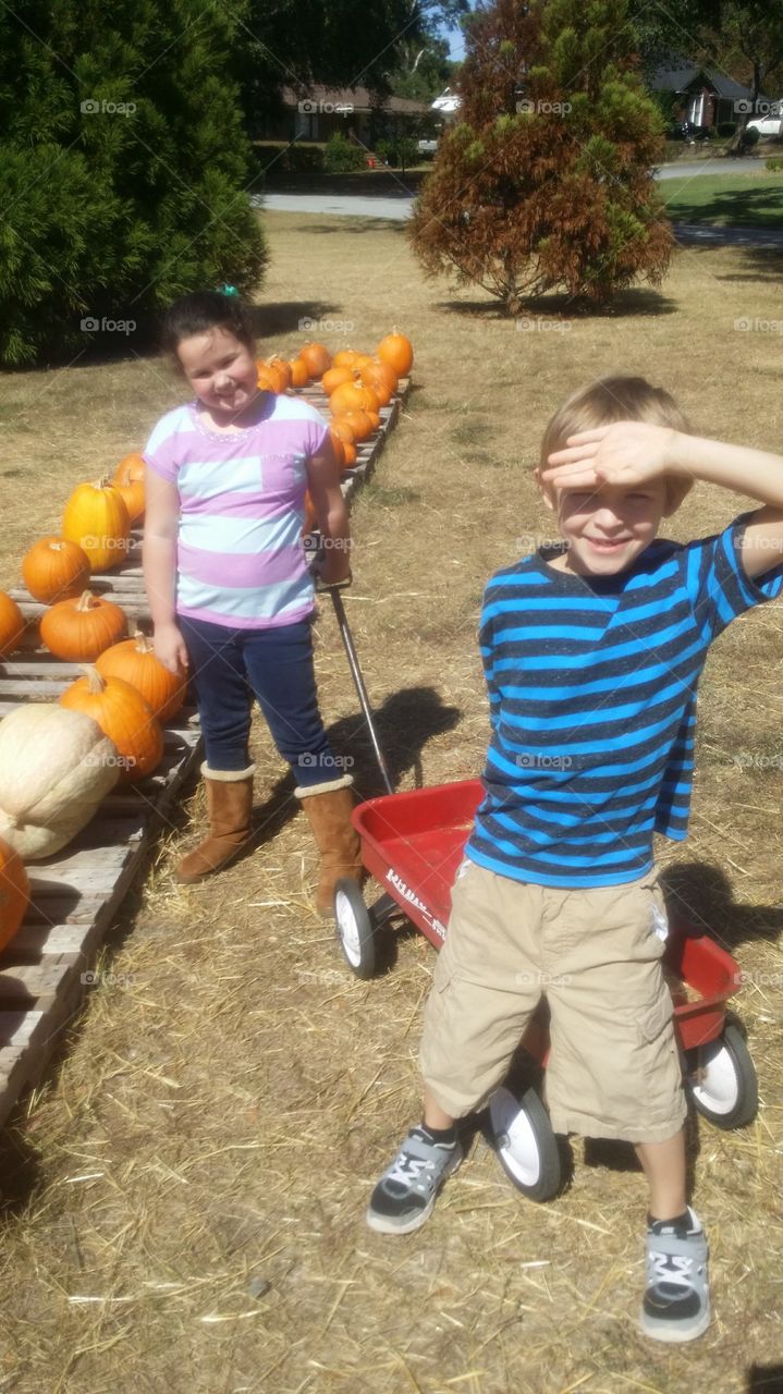 pumpkin patch fun