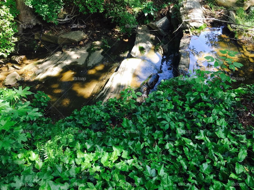 Creek babbling through woods.