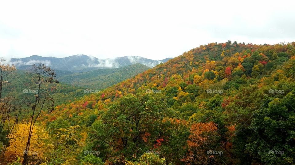 Blue Ridge Mountains - Autumn