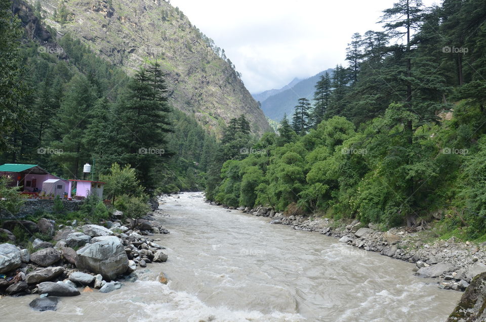 landscape
river
water
nature
environment
green green
himachal beauty
mountains