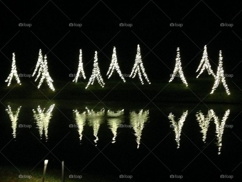 Tree Lights Reflected