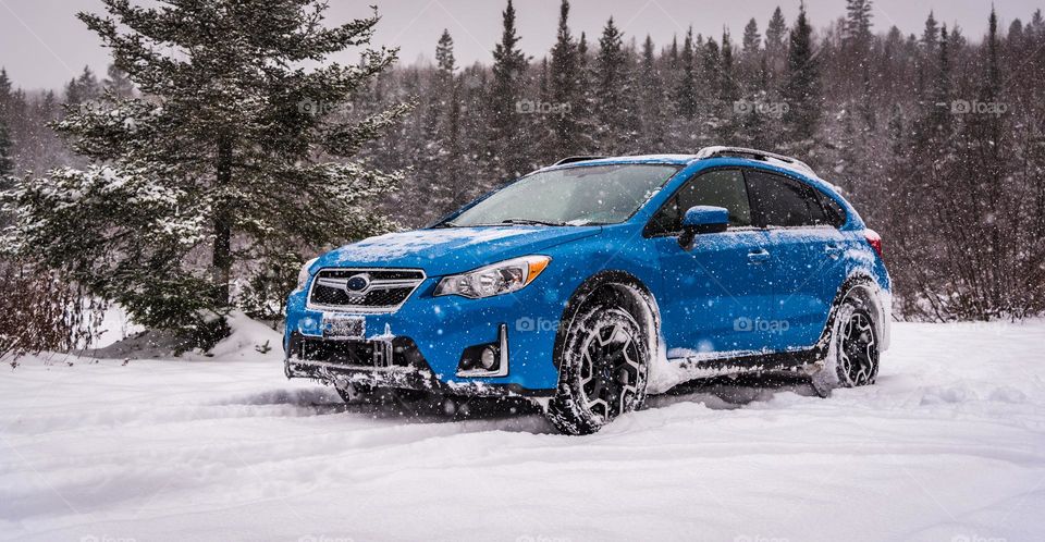 Blue SUV vehicle in forest during a snowy day.