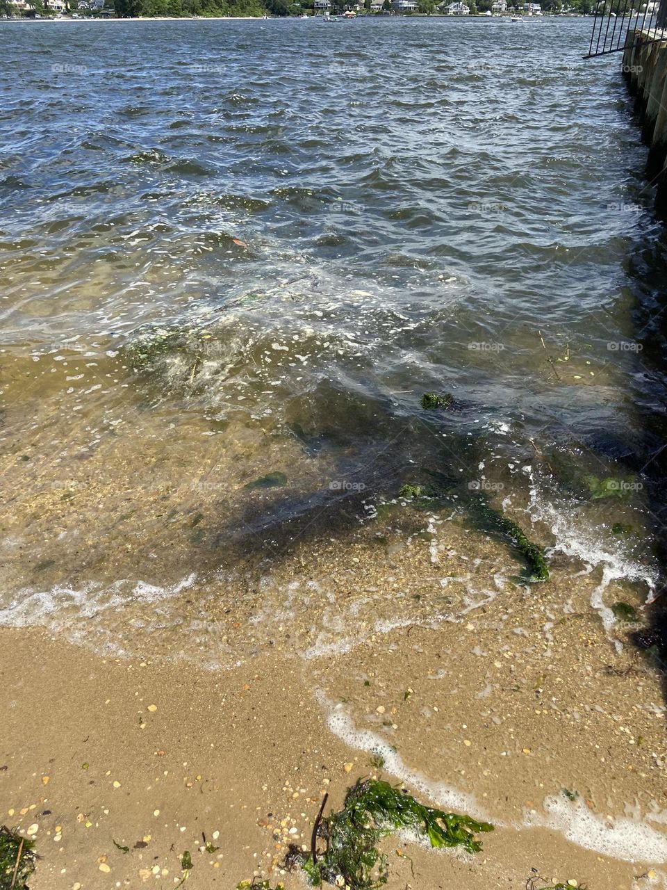 Sand, Seaweed and Surf. Signs of summer. Taken at a local River Beach in Point Pleasant, NJ. 