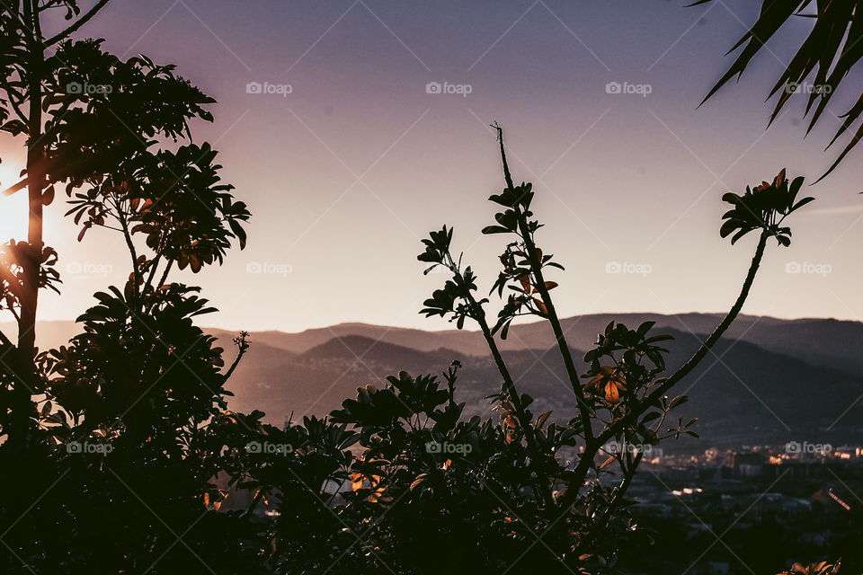 Landscape of a Barcelona city 