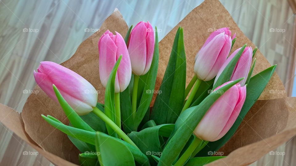 pink tulips