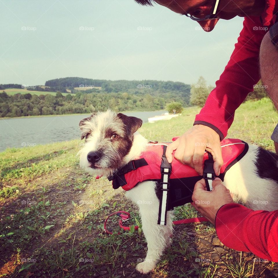 Gonzo preparing for a swim