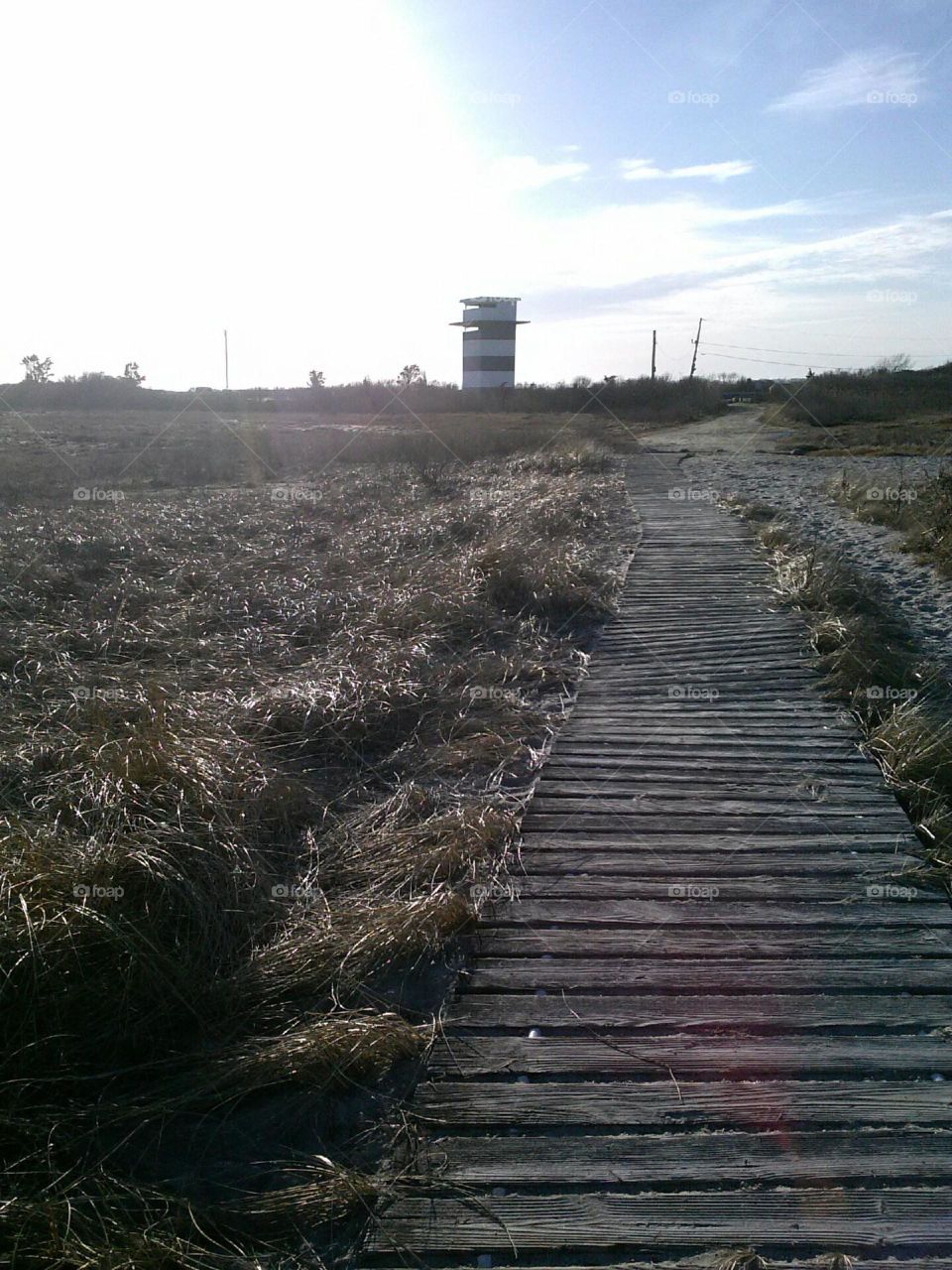 Scenic Walk. This is a walking path at one of the beaches in Southern Massachusetts. 