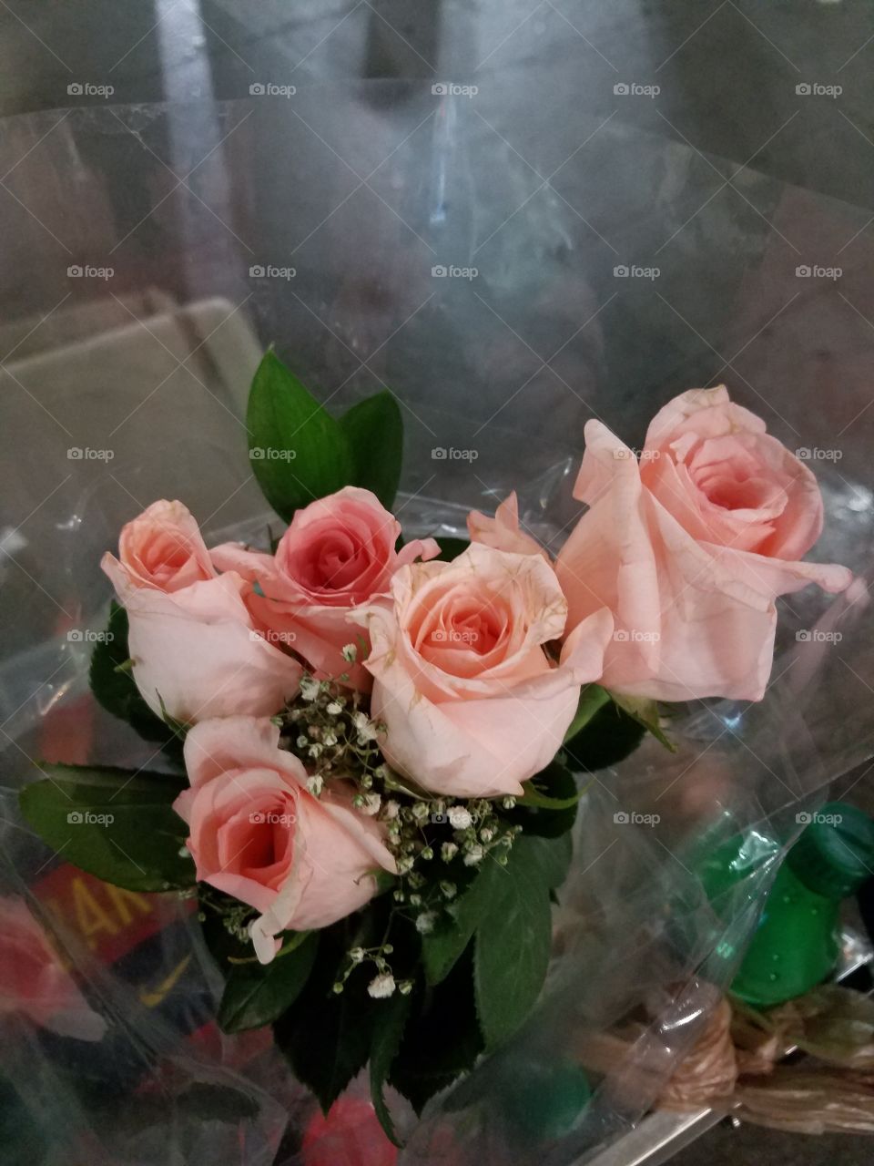 pink roses