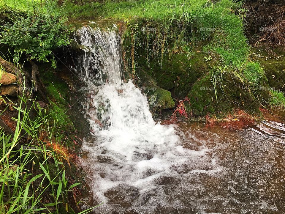 Small overflow waterfall in a forest